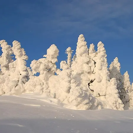 As אכסניה Sjusjoen
